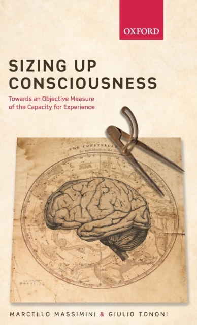 Sizing up Consciousness