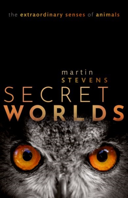 Secret Worlds