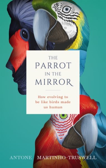 Parrot in the Mirror