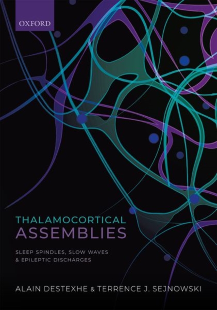 Thalamocortical Assemblies