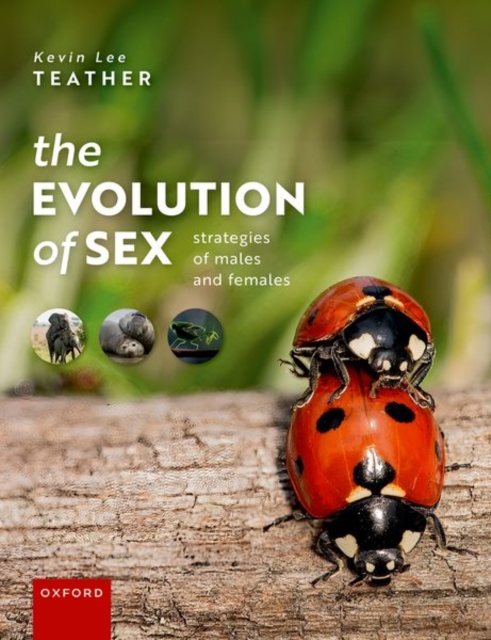 Evolution of Sex