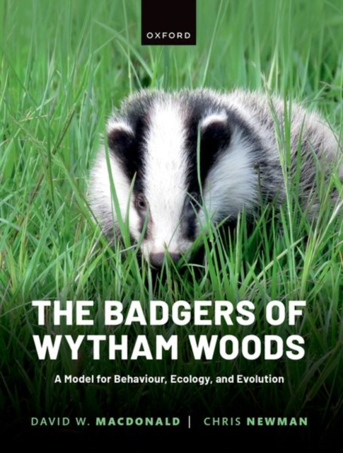 The Badgers of Wytham Woods