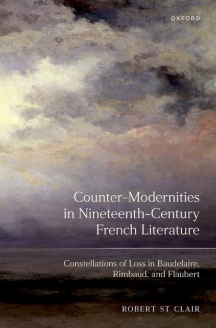Counter-Modernities in Nineteenth-Century French Literature