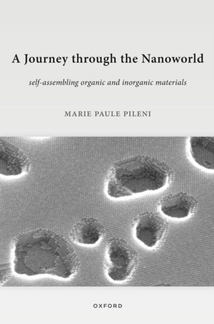 Journey through the Nanoworld