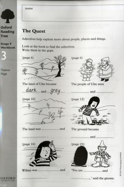Oxford Reading Tree: Level 9: Workbooks: Workbook 3: The Quest and Survival Adventure (Pack of 6)