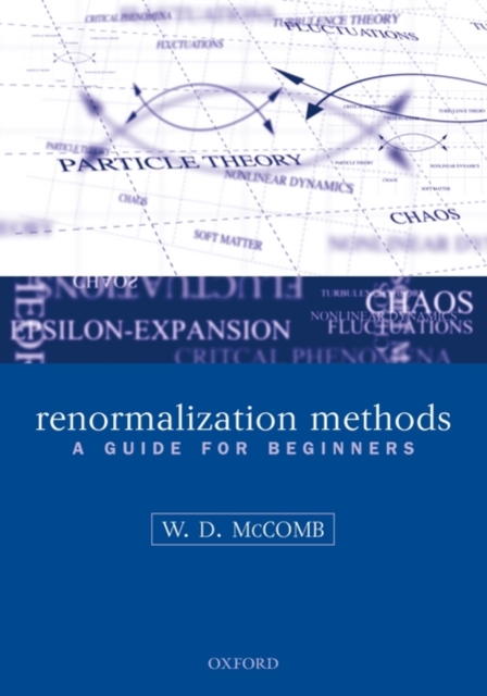Renormalization Methods