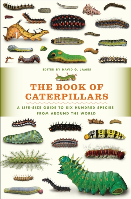 Book of Caterpillars