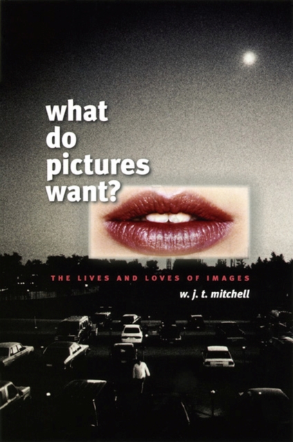 What Do Pictures Want?