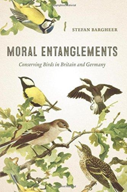 Moral Entanglements