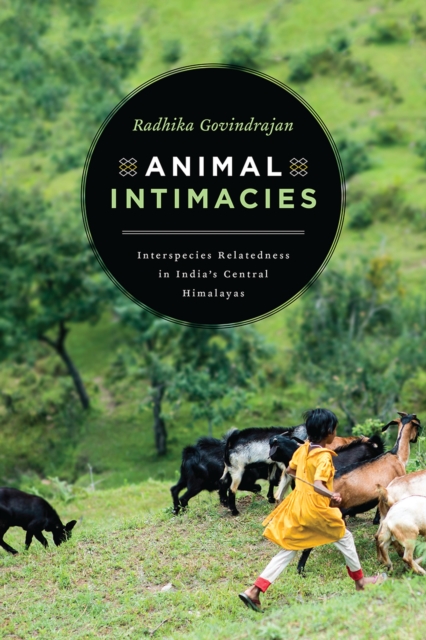 Animal Intimacies