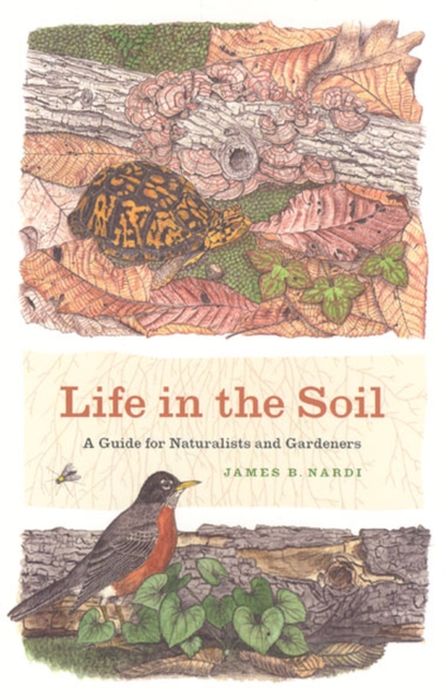 Life in the Soil