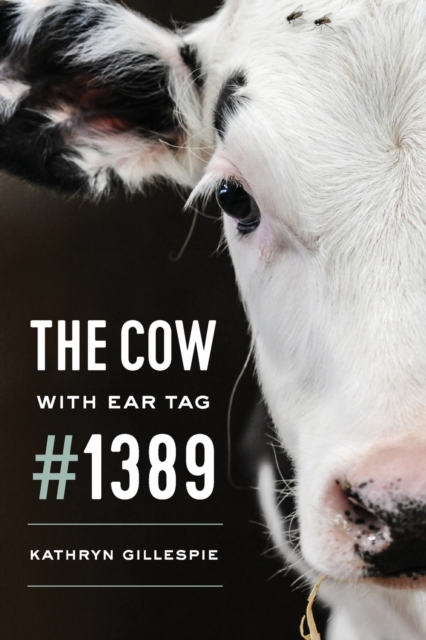 Cow with Ear Tag #1389
