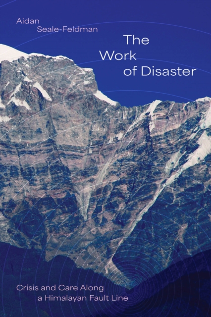The Work of Disaster