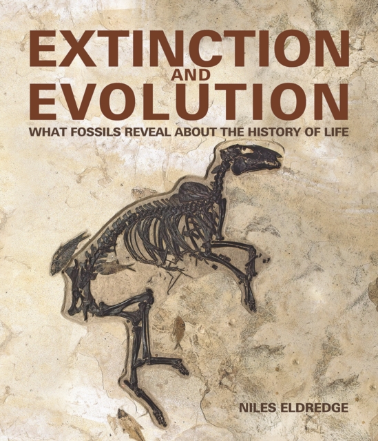 Extinction and Evolution