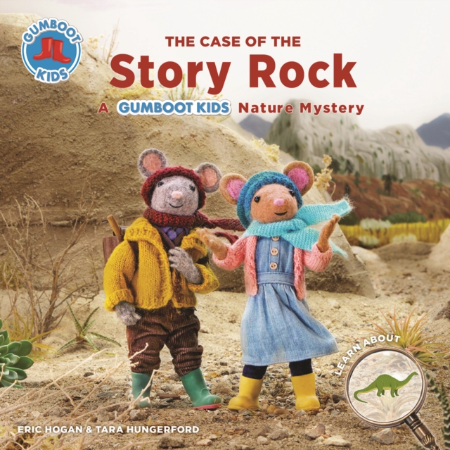 Case of the Story Rock