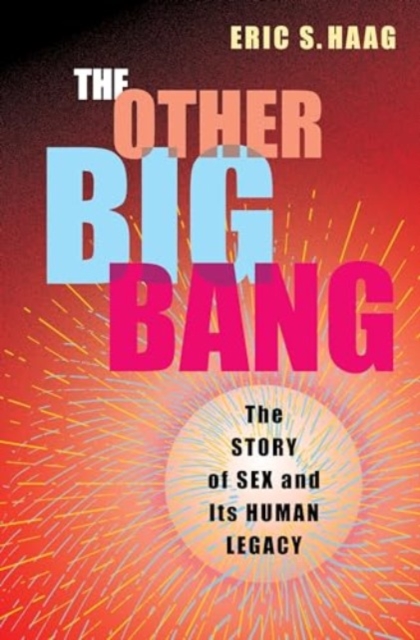 Other Big Bang