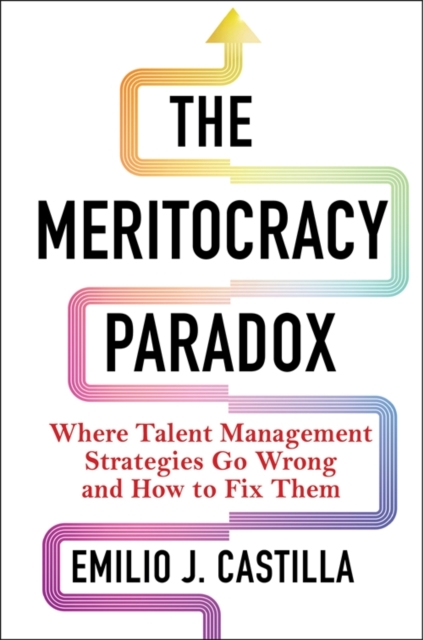 The Meritocracy Paradox