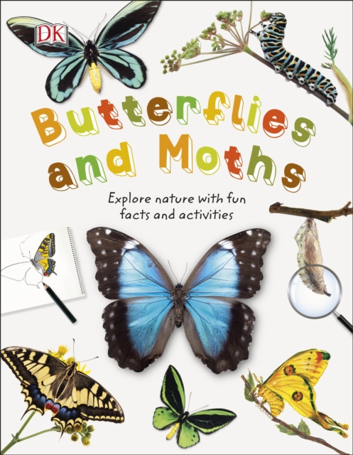 Butterflies and Moths