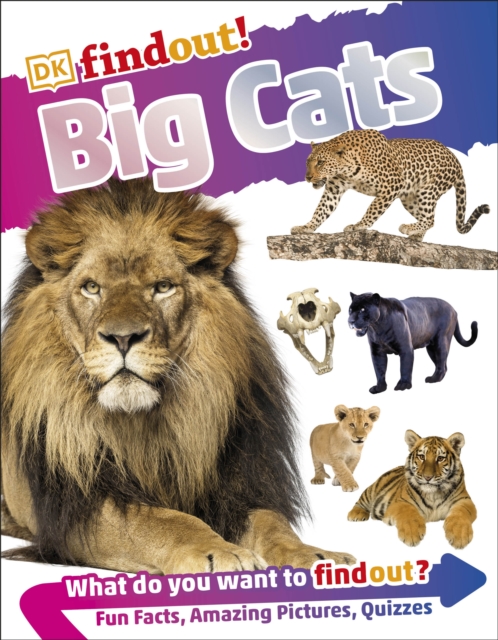 DKfindout! Big Cats