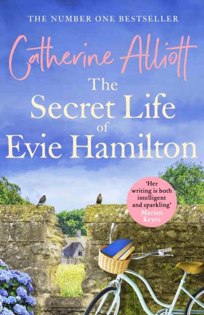 Secret Life of Evie Hamilton