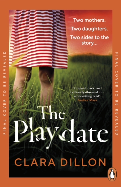 The Playdate