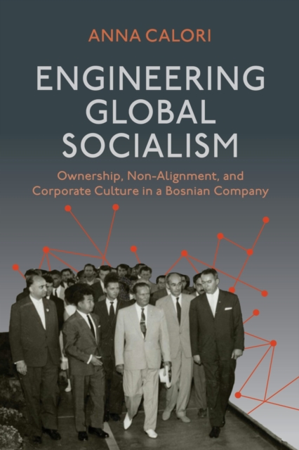 Engineering Global Socialism
