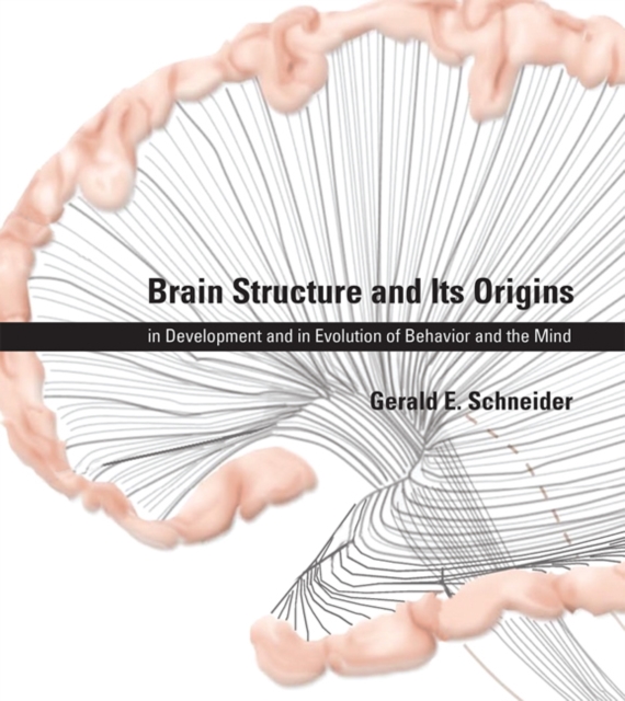 Brain Structure and Its Origins