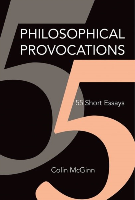 Philosophical Provocations
