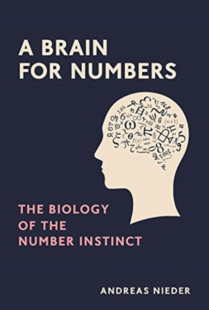 Brain for Numbers