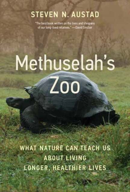 Methuselah's Zoo