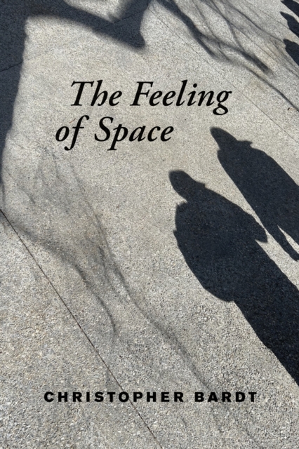 Feeling of Space