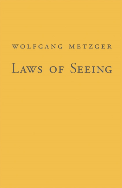 Laws of Seeing