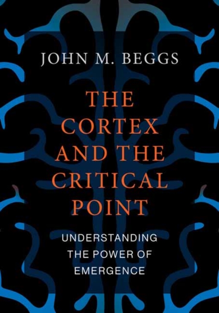 Cortex and the Critical Point