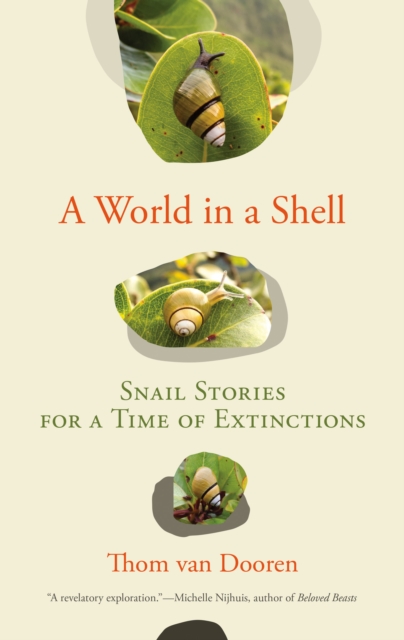 World in a Shell