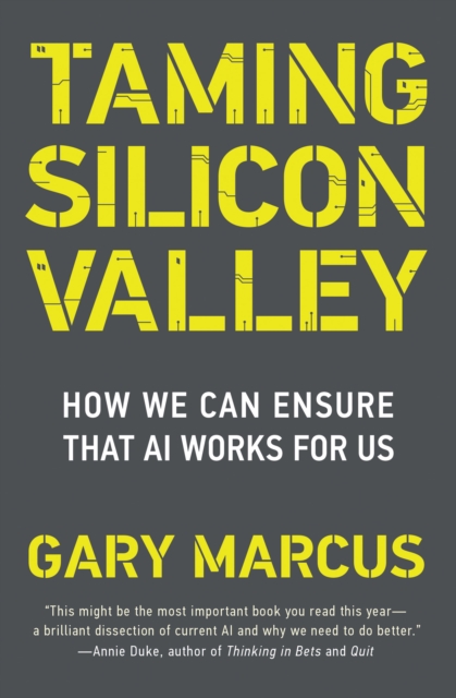 Taming Silicon Valley