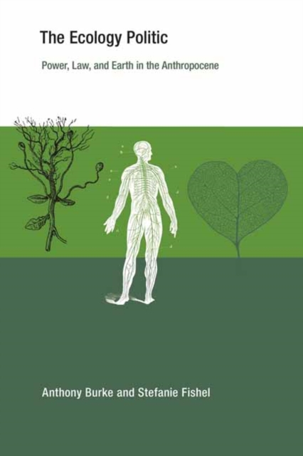 The Ecology Politic