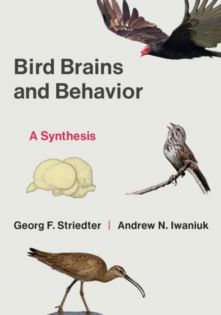 Bird Brains and Behavior