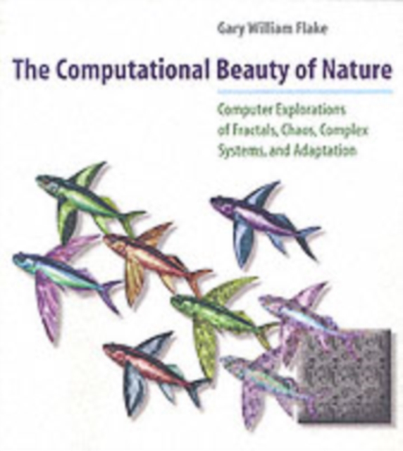 Computational Beauty of Nature