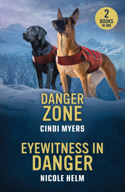 Danger Zone / Eyewitness In Danger