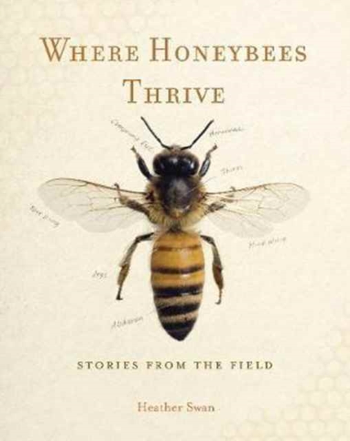 Where Honeybees Thrive