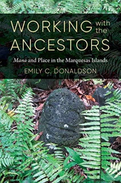 Working with the Ancestors