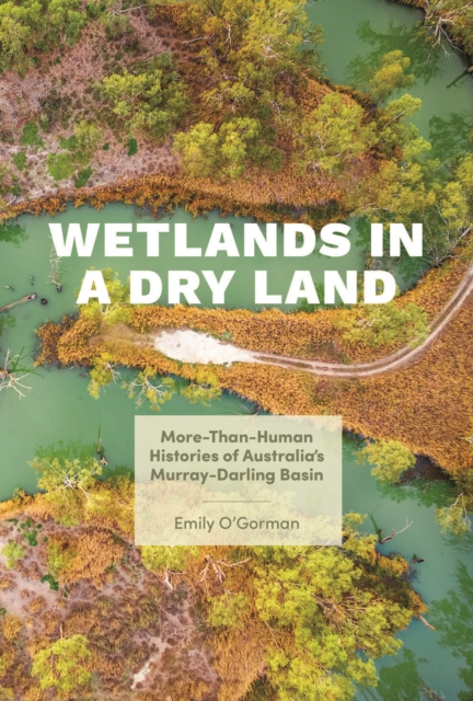 Wetlands in a Dry Land