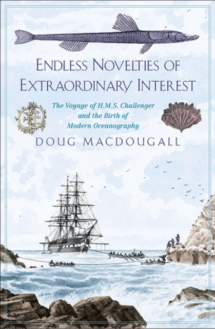 Endless Novelties of Extraordinary Interest