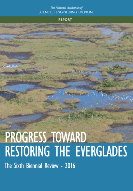 Progress Toward Restoring the Everglades