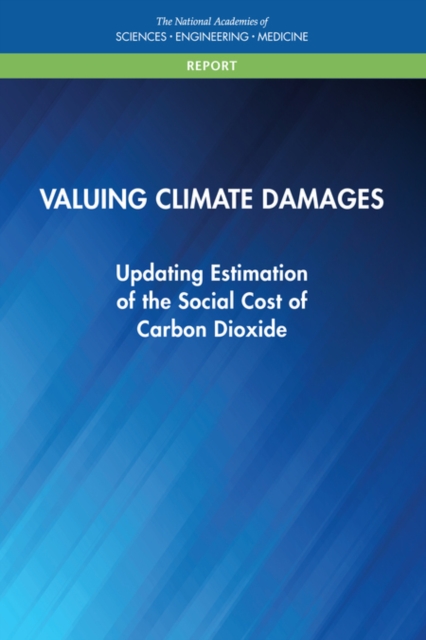 Valuing Climate Damages