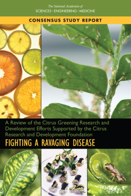 A Review of the Citrus Greening Research and Development Efforts Supported by the Citrus Research and Development Foundation