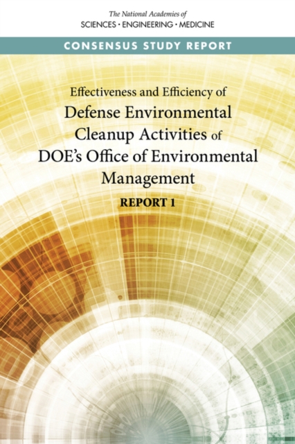 Effectiveness and Efficiency of Defense Environmental Cleanup Activities of DOE's Office of Environmental Management