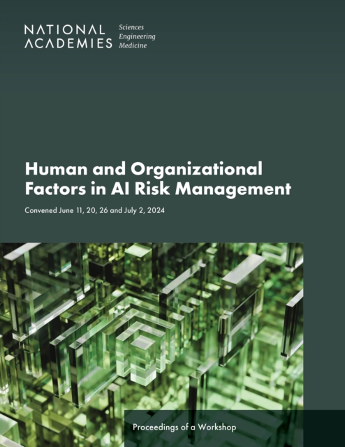 Human and Organizational Factors in AI Risk Management