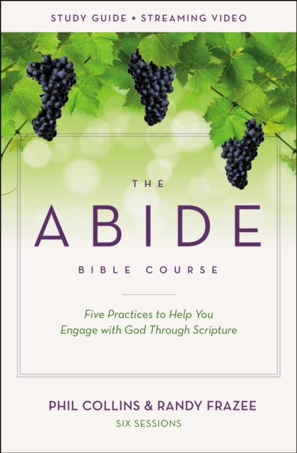 Abide Bible Course Study Guide plus Streaming Video