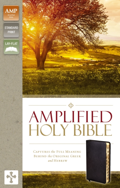 Amplified Holy Bible, Bonded Leather, Black, Thumb Indexed